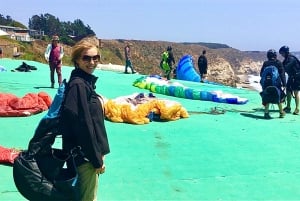 Pingouins, lions de mer, planche à voile, nourriture et boissons chiliennes