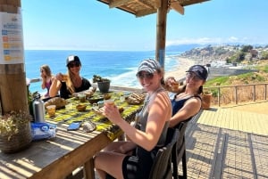 Pingouins, lions de mer, planche à voile, nourriture et boissons chiliennes