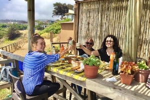 Pingouins, lions de mer, planche à voile, nourriture et boissons chiliennes
