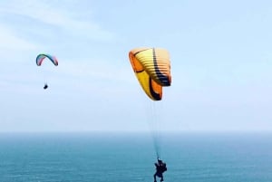 Pingouins, lions de mer, planche à voile, nourriture et boissons chiliennes