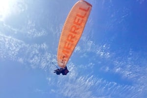 Pingouins, lions de mer, planche à voile, nourriture et boissons chiliennes