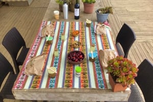 Pingouins, lions de mer, planche à voile, nourriture et boissons chiliennes