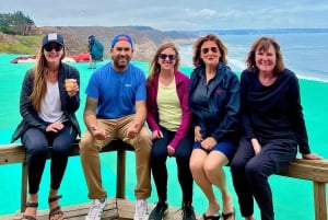 Pingouins, lions de mer, planche à voile, nourriture et boissons chiliennes
