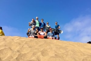 Pingouins, lions de mer, planche à voile, nourriture et boissons chiliennes