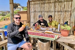 Pingouins, lions de mer, planche à voile, nourriture et boissons chiliennes