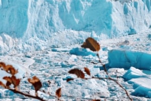Perito Moreno: Prywatny kierowca z El Calafate