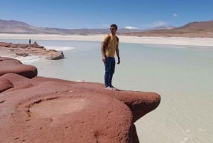 Ganztagestour Piedras Rojas, Altiplanics Lagoons & Salar