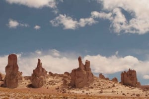 Ganztagestour Piedras Rojas, Altiplanics Lagoons & Salar