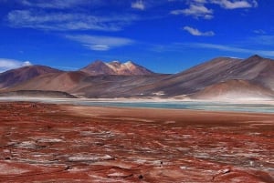 Ganztagestour Piedras Rojas, Altiplanics Lagoons & Salar