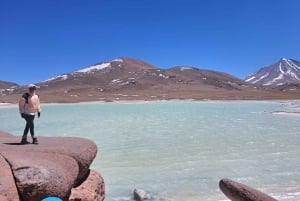 Piedras Rojas, Altiplanics-laguner og Salar heldagstur