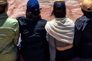 Piedras Rojas, Laguny Altiplanics i Salar - całodniowa wycieczka