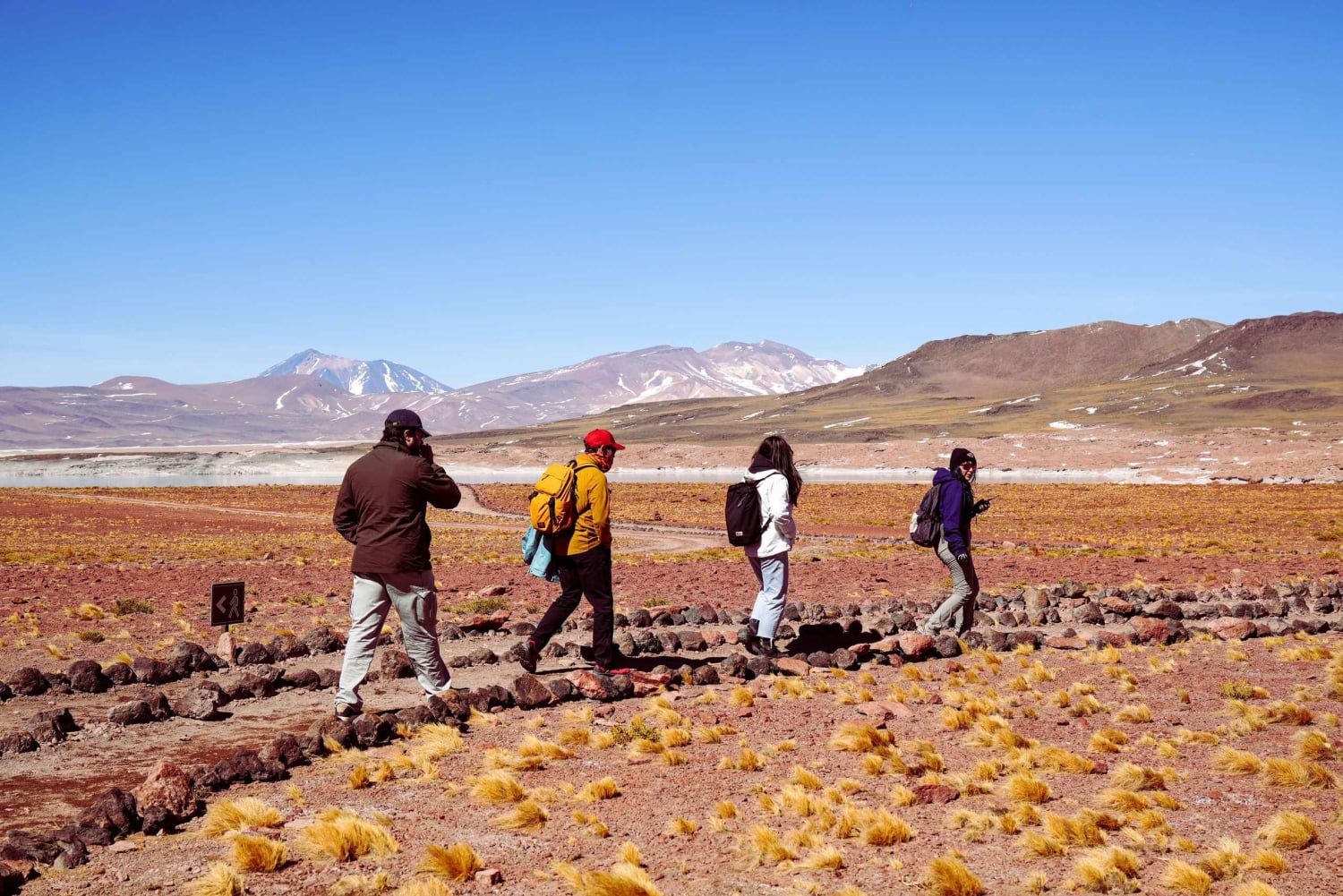 Visite d'une journée complète à Piedras Rojas et aux lagunes altiplaniques