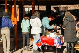 Visite d'une journée complète à Piedras Rojas et aux lagunes altiplaniques
