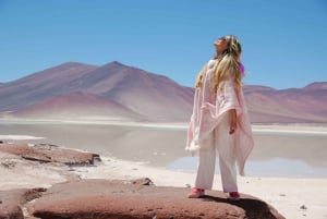 Visite d'une journée complète à Piedras Rojas et aux lagunes altiplaniques