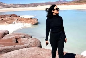 Piedras Rojas, Salar de Atacama og søer på den høje platea