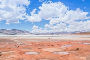 Пьедрас Рохас - тур : Сан-Педро-де-Атакама - Чили