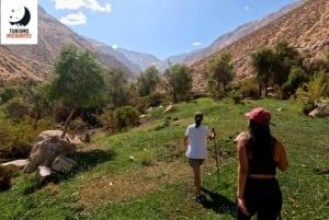 Pisco Elqui: Cochiguaz Nature Sanctuary Trekking Tour