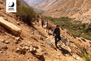 Pisco Elqui: Cochiguaz Nature Sanctuary Trekking Tour