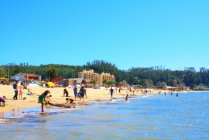 Playa Dichato