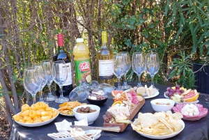 Portillo + Laguna del Inca con picnic