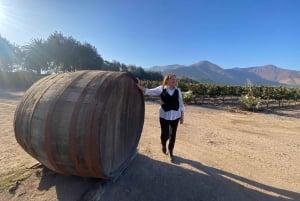 Private Group Laguna del Inca & Alpaca Farm/Vineyard