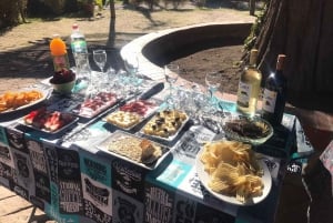 TOUR PORTILLO, LAGUNA DEL INCA + PICNIC