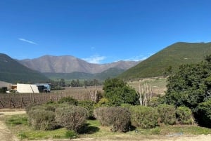 Tour Privado Aconcagua Valley