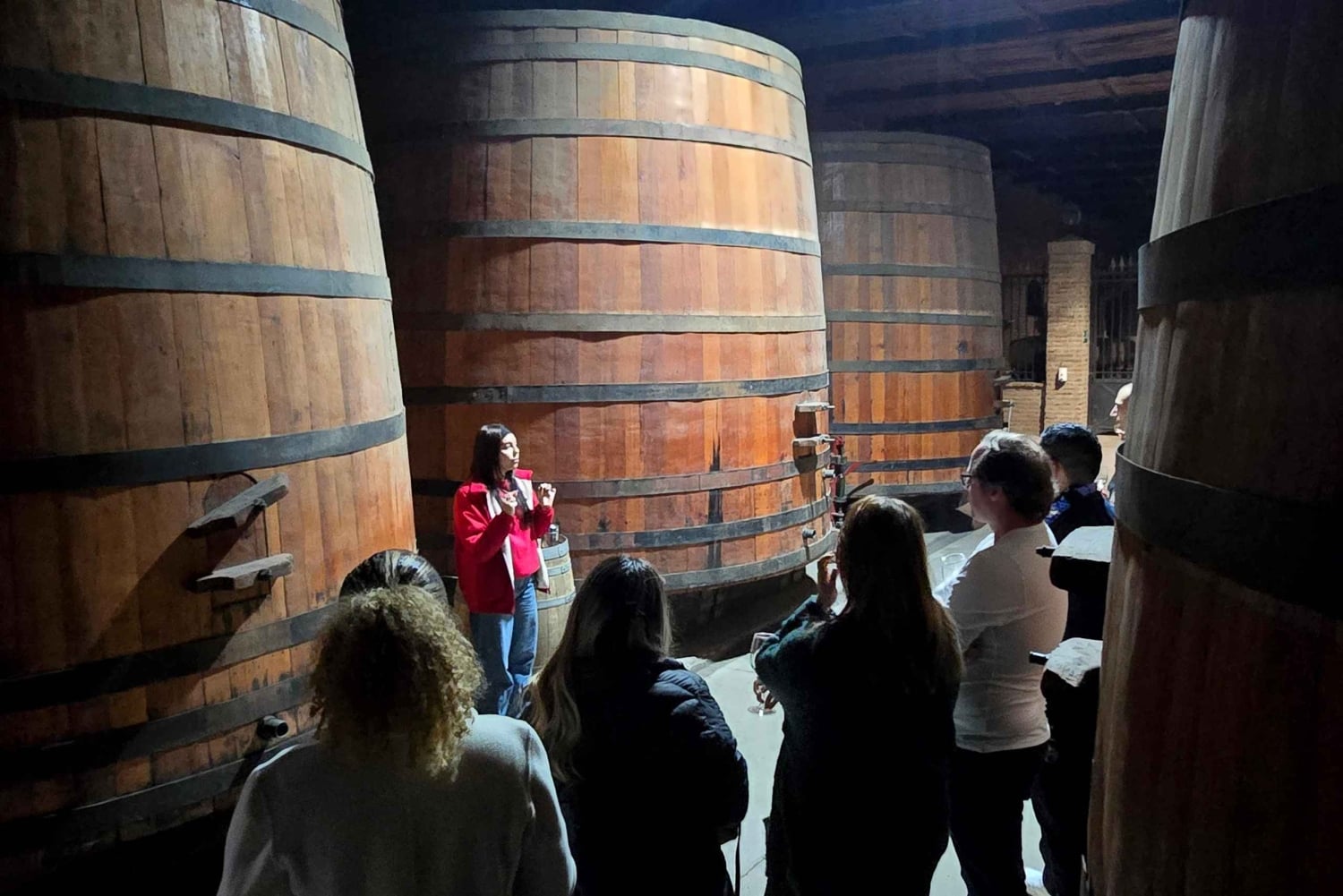 Premium vintur + 7 provsmakningar + Lapis Lazuli + privat minibuss