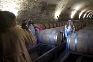 Premium vintur + 7 provsmakningar + Lapis Lazuli + privat minibuss