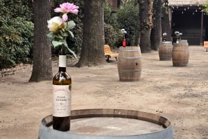 Premium vintur + 7 provsmakningar + Lapis Lazuli + privat minibuss