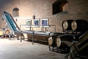 Premium vintur + 7 provsmakningar + Lapis Lazuli + privat minibuss