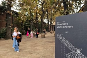 Premium vintur + 7 provsmakningar + Lapis Lazuli + privat minibuss