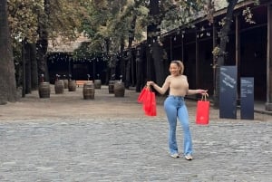 Premium vintur + 7 provsmakningar + Lapis Lazuli + privat minibuss