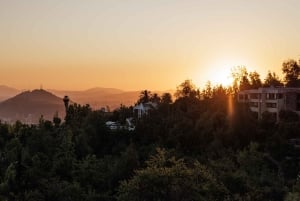 Yksityinen kaupunkikierros Santiago & viinibaarikokemus