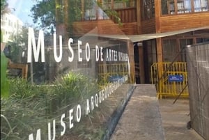 Yksityinen kaupunkikierros Santiago & viinibaarikokemus