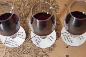 Yksityinen kaupunkikierros Santiago & viinibaarikokemus