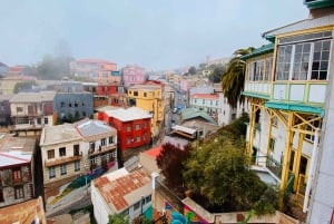 Desde Santiago: tour en crucero a Valparaíso/San Antonio