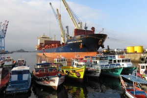 Desde Santiago: tour en crucero a Valparaíso/San Antonio