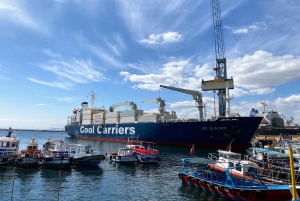 Desde Santiago: tour en crucero a Valparaíso/San Antonio