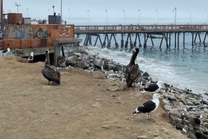 Desde Santiago: tour en crucero a Valparaíso/San Antonio