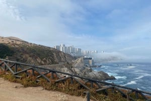 Desde Santiago: tour en crucero a Valparaíso/San Antonio