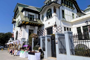 Desde Santiago: tour en crucero a Valparaíso/San Antonio