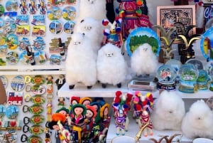 Desde Santiago: tour en crucero a Valparaíso/San Antonio