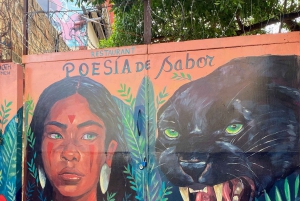 Desde Santiago: tour en crucero a Valparaíso/San Antonio