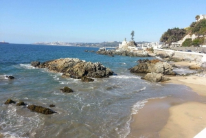 Desde Santiago: tour en crucero a Valparaíso/San Antonio