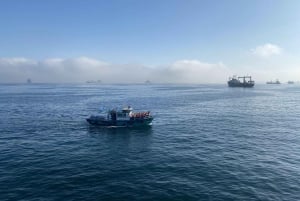 Desde Santiago: tour en crucero a Valparaíso/San Antonio