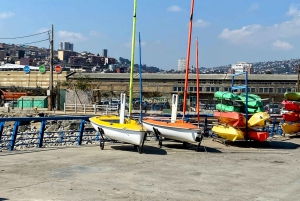 Desde Santiago: tour en crucero a Valparaíso/San Antonio