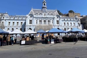 Desde Santiago: tour en crucero a Valparaíso/San Antonio