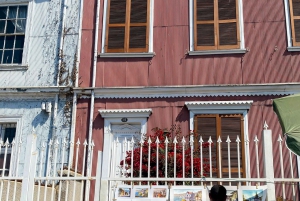 Desde Santiago: tour en crucero a Valparaíso/San Antonio