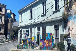 Desde Santiago: tour en crucero a Valparaíso/San Antonio